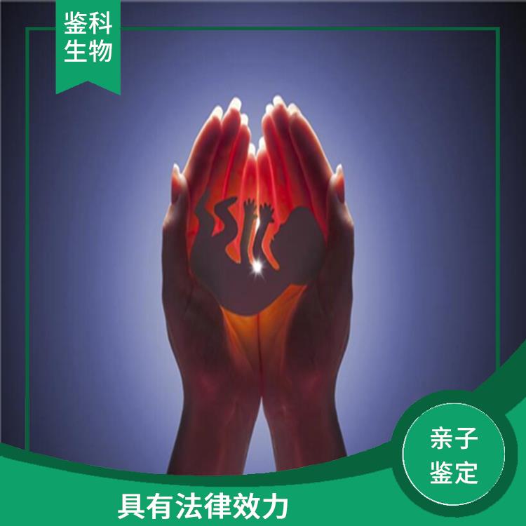 辽源正规亲子鉴定 多年行业经验 分析准确度高