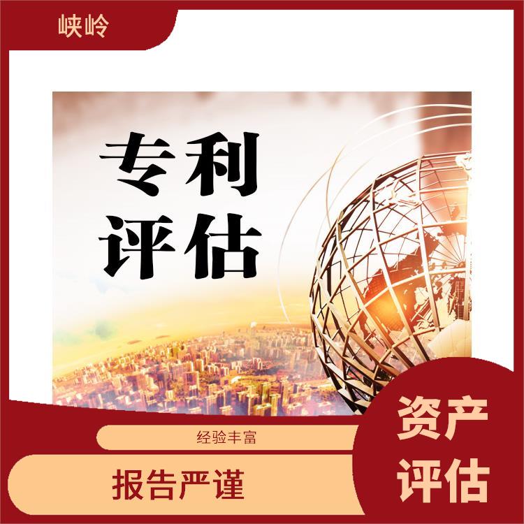 绵阳资质价值评估 报告严谨