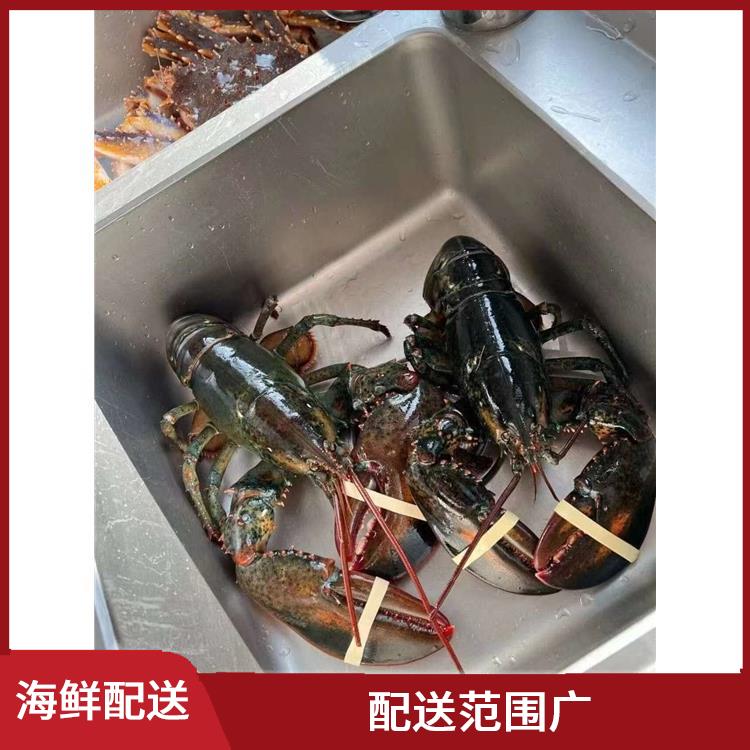 石龙海鲜配送平台 可以随时随地下单