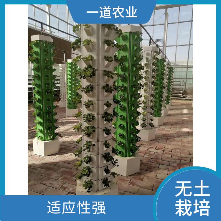 武汉无土栽培种植 水分利用率高 无土栽培种植大棚