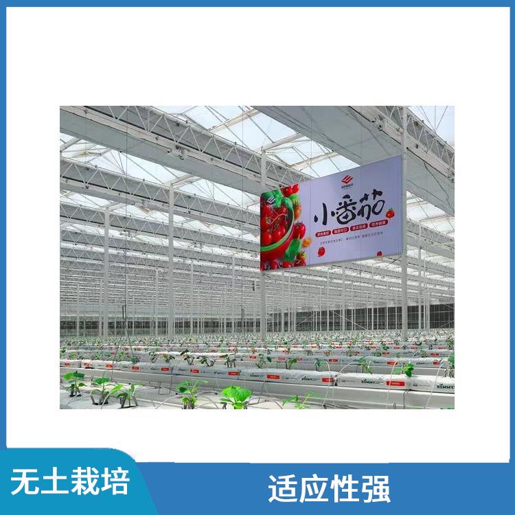 无土栽培种植 南昌无土栽培种植大棚厂家