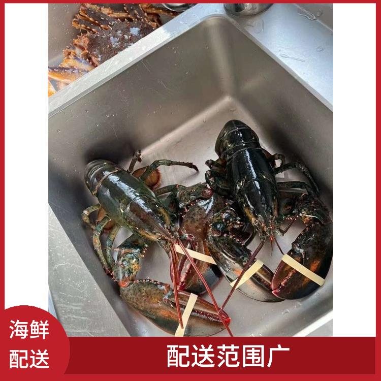 厚街桥头海鲜配送平台 能满足不同菜品的需求 可以快速送达