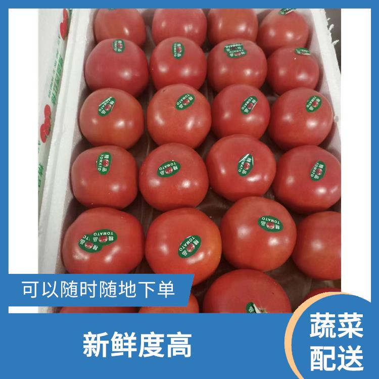 东莞石龙镇蔬菜配送公司 能满足不同菜品的需求