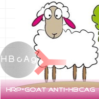 赛尔维品牌HRP标记山羊抗HBcAg，货号;C030111