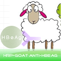赛尔维品牌HRP标记山羊抗HBeAg ，货号:C030109