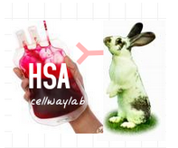 赛尔维品牌HRP标记兔抗HSA,货号:C030108