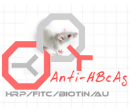 赛尔维品牌HRP标记鼠抗HBcAg，货号：C030101