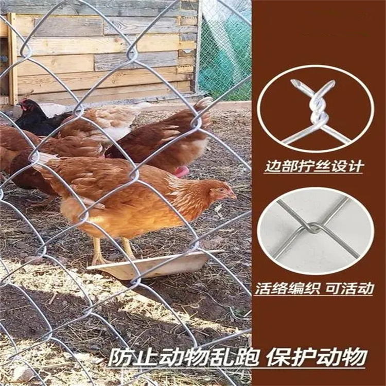 1.5X10米热镀锌勾花网|菱形养殖围栏网|果园养鸡勾花网