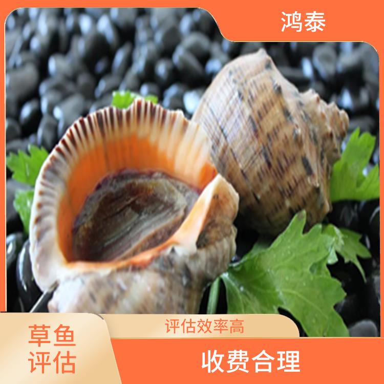 惠州市草鱼评估 经验丰富 全程标准化操作