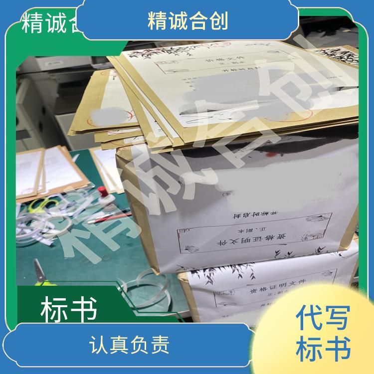 广州标书代写 磋商性标书代做排版 一站式服务