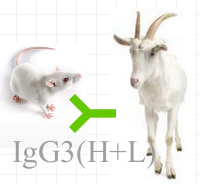 赛尔维品牌HRP标记羊抗鼠IgG3 ，货 号：C030275