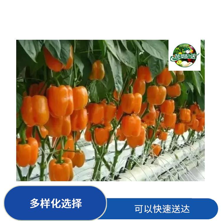 东莞谢岗食材配送平台电话 可以快速送达 无需亲自管理