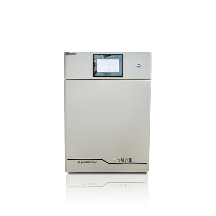 三种气体高低氧细胞培养箱惰性三气培养箱 CYSQ-50-III