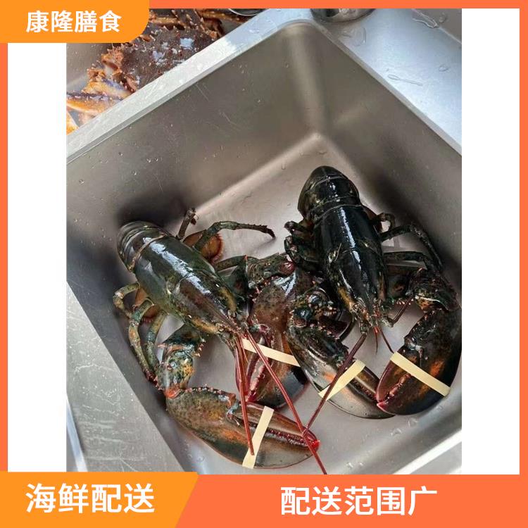 东莞虎门海鲜配送 满足不同客户的需求 品种丰富
