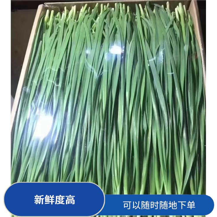 长安沙头蔬菜配送公司 新鲜度高 大大缩短了采购时间
