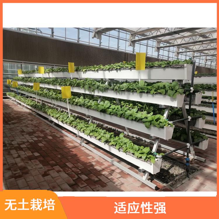 无土栽培施工 太原无土栽培种植 应用广泛
