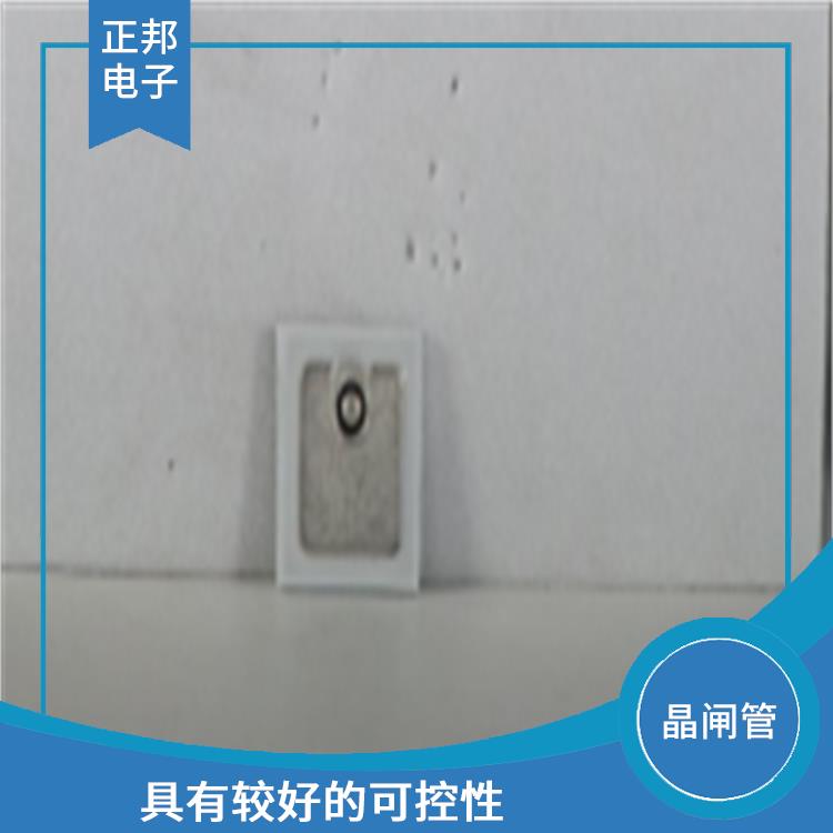 上海电力半导体芯片厂家 开关速度快 适用于高功率电路