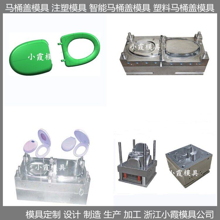 折叠智能马桶盖模具/大型注塑模具公司