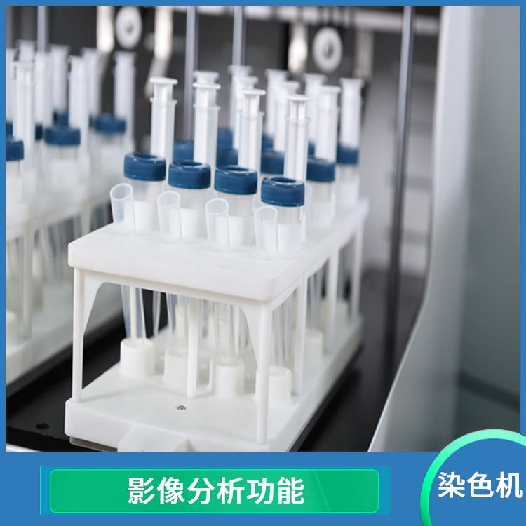 莆田自动液基薄层细胞制片机 提高染色质量 更容易被观察和分析