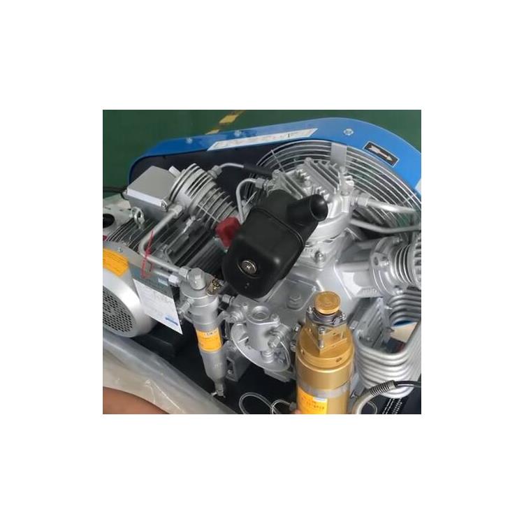 可选两条充气管 宝华BAUER300-TE大功率移动式空气充气泵