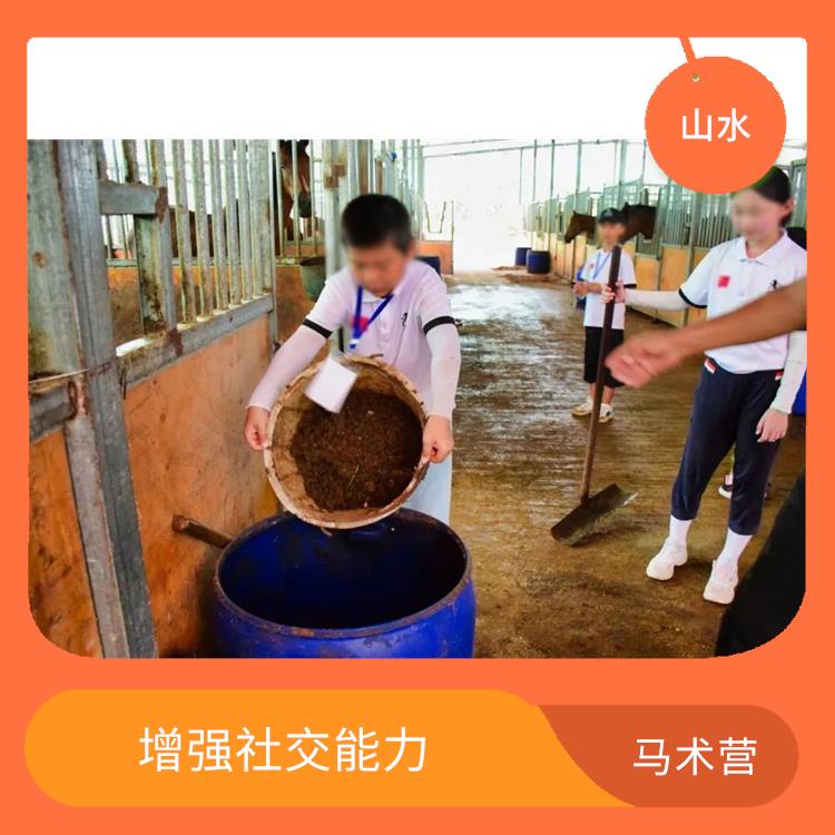 深圳国际马术营报名 培养立自主的能力 培养青少年的团队意识
