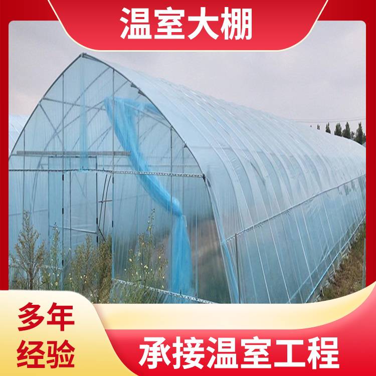 制造蔬菜温室 河 源连平建设草莓大棚 鱼菜共生 中科 美观大气 ZKLP-01