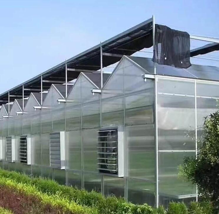 冬季玻璃温室大棚保温的方法介绍