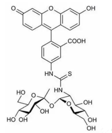 FITC-hydroxyethyl starc..