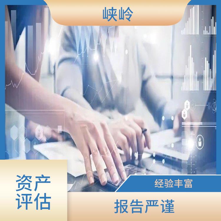 泸州资质价值评估政策 经验丰富