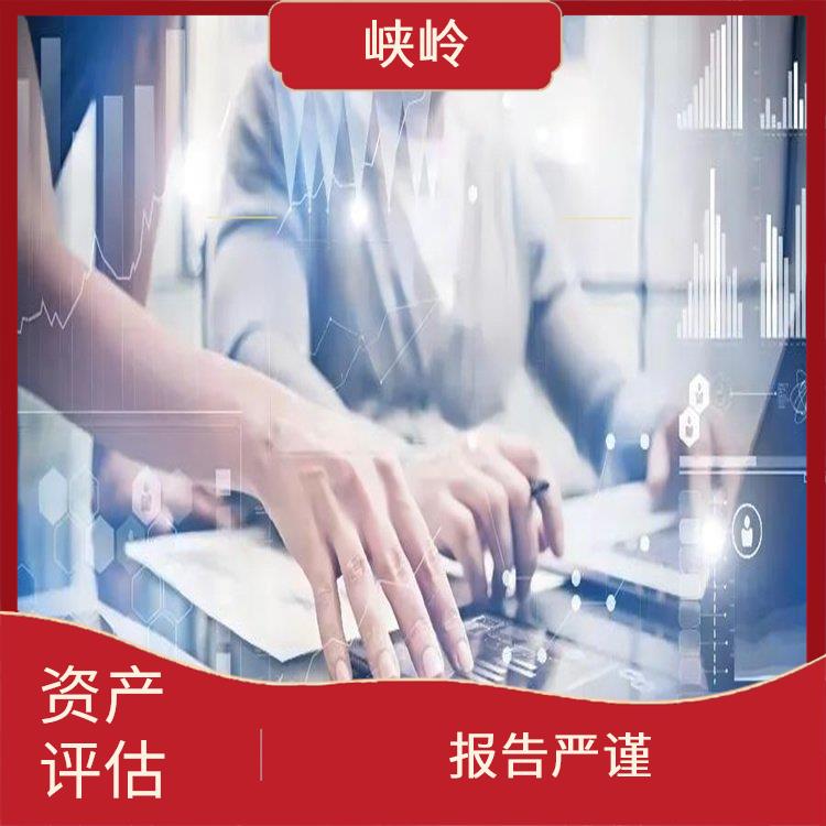 广元资质价值评估的法律作用 全程标准化操作