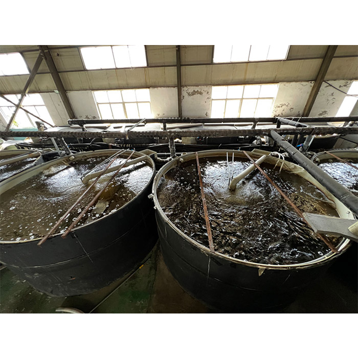 威海奥帆环保工厂化高密度循环水养殖设备