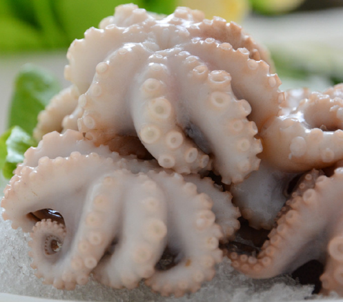 海鲜-冷冻海鲜-供应各种食用海虾