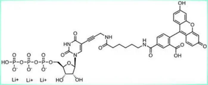 FAM-11-UTP, 6-isomer   ..