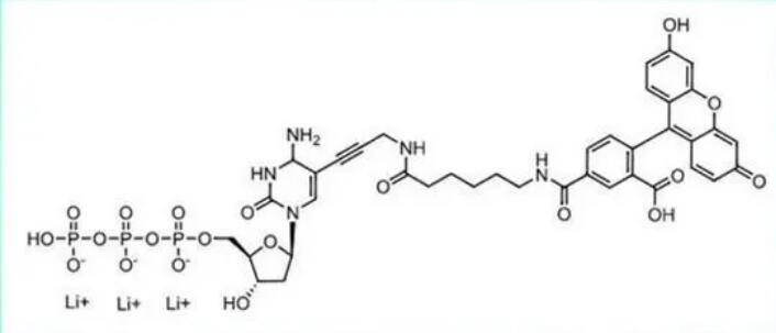 FAM-11-dCTP, 6-isomer  ..