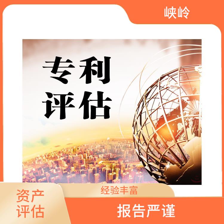 凉山资质价值评估收费标准 评估流程标准化 全程标准化操作