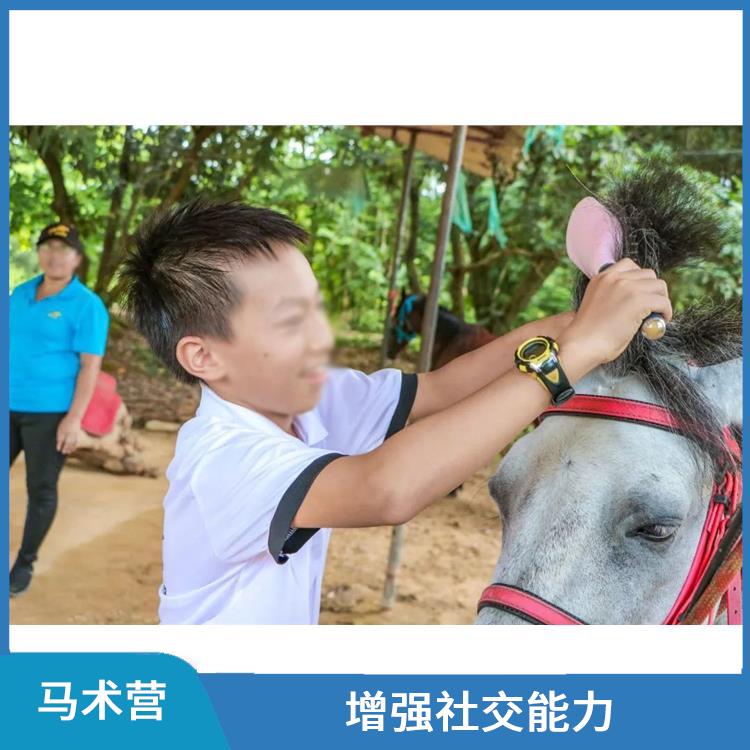 深圳国际马术营报名 培养兴趣爱好 培养青少年的团队意识