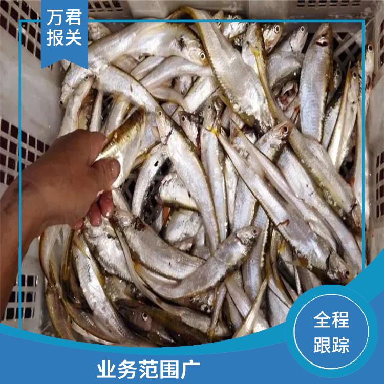 杭州大西洋鲑进口清关 更及时更便捷 节约申报时间