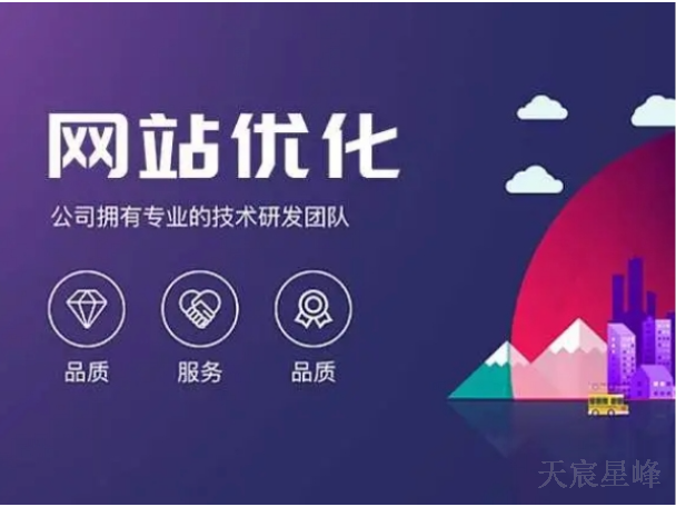 商洛seo网站优化怎么样 欢迎咨询 陕西天宸星峰信息科技供应