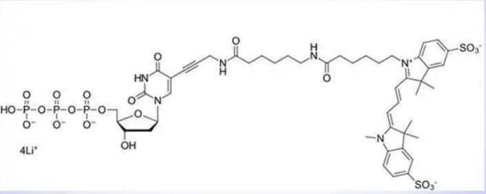 sulfo-Cyanine3 dUTP    0