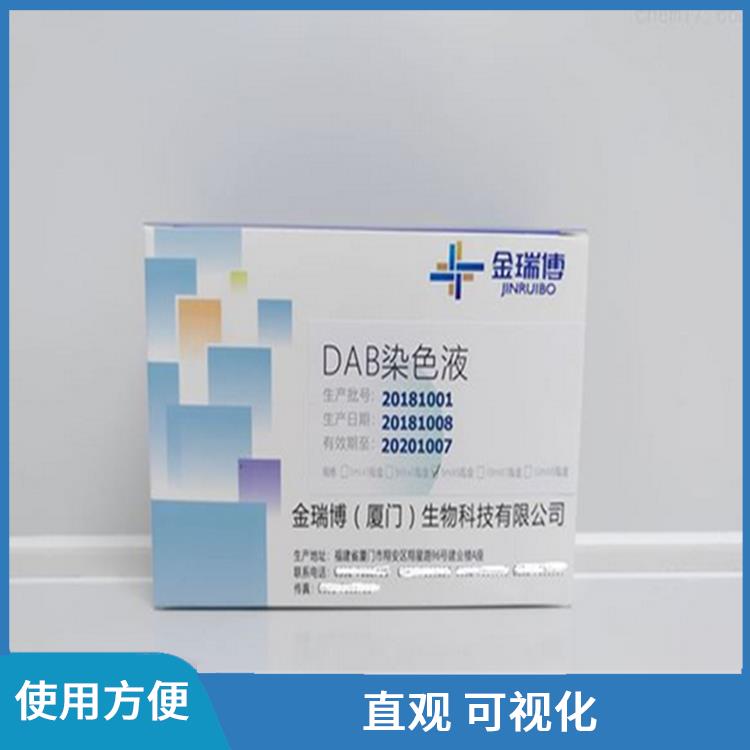 龙岩DAB染色液厂家 使用方便 高度特异性