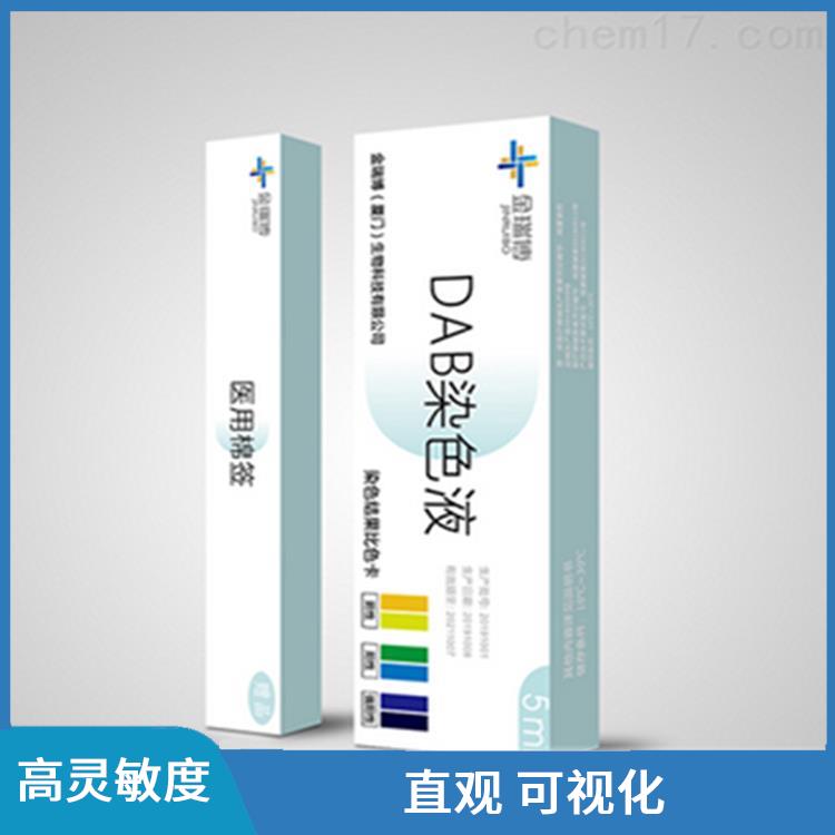 重庆DAB染色液 显色明显 降低了实验成本