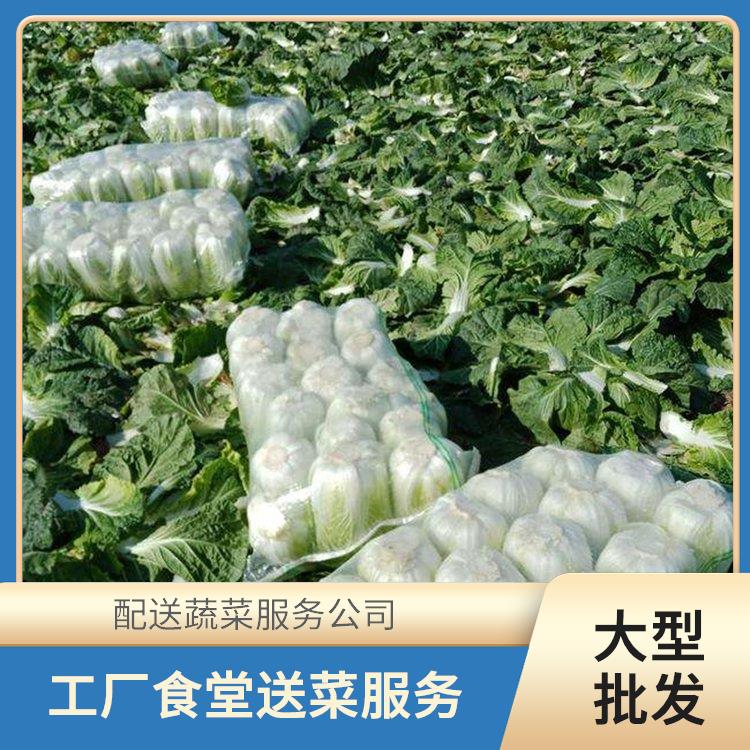 龙溪饭堂食材配送服务公司 配送蔬菜服务公司 大型批发市场提供平价送菜服务