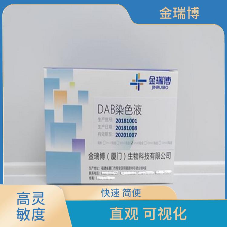 泉州DAB染色液厂家 使用方便 不需要额外的设备和试剂