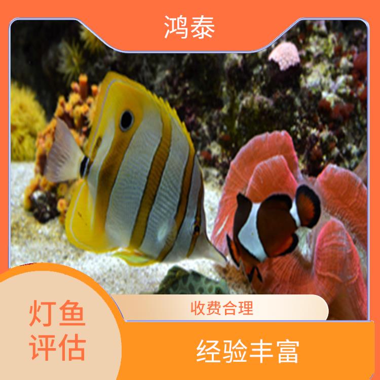 襄阳市观赏鱼评估 报告严谨 服务完善