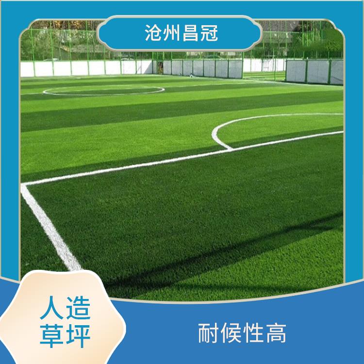安庆门球场人造草坪施工 适用范围广 全天候使用