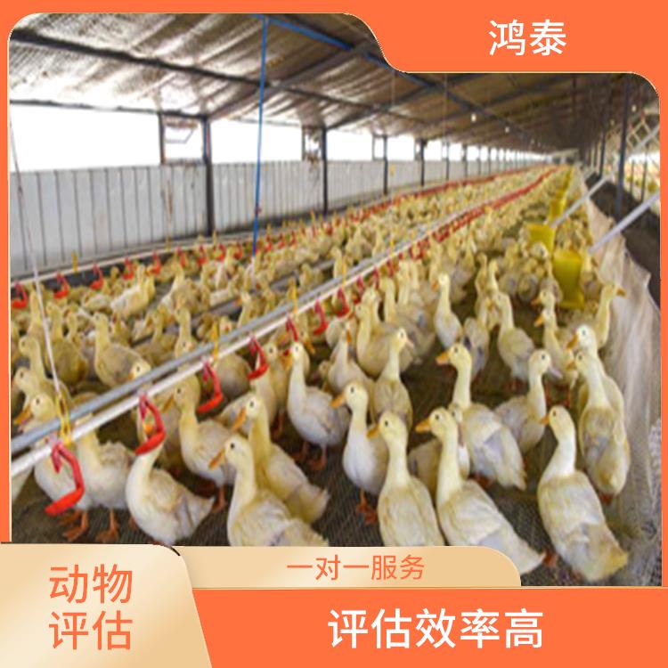 重庆市鸡舍评估 评估效率高 评估业务范围广