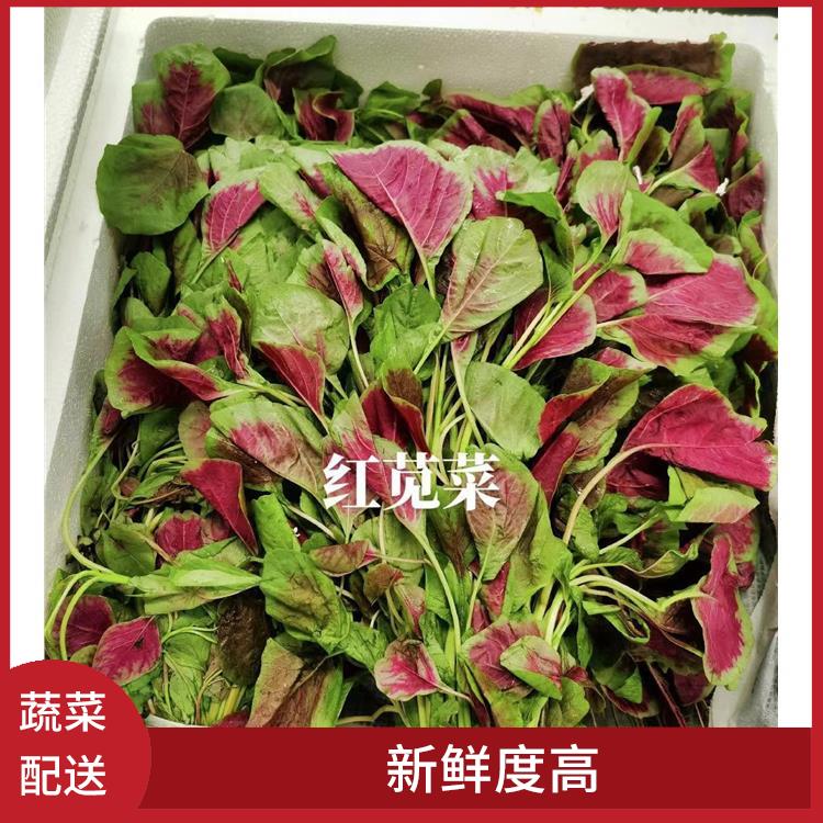 塘厦镇蔬菜配送公司 大大缩短了采购时间