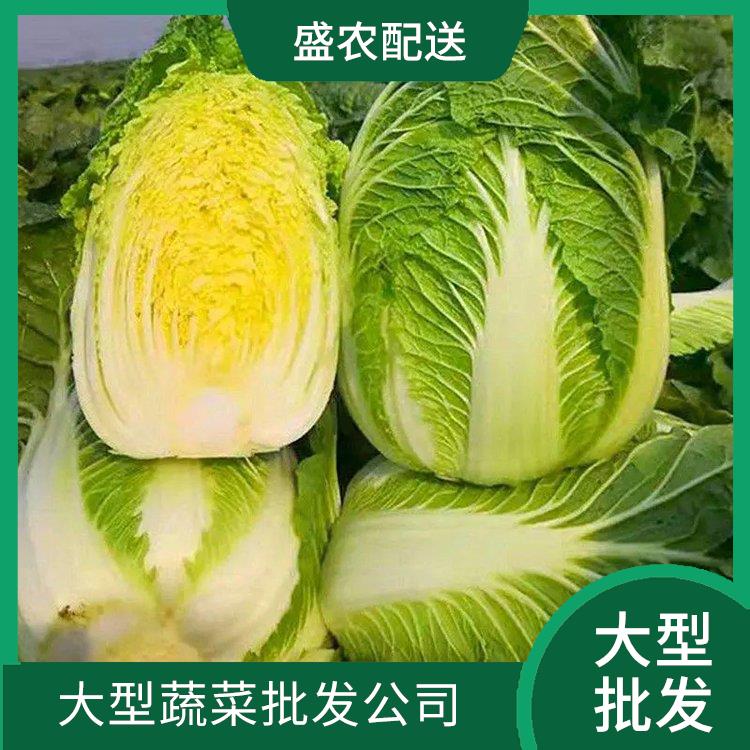 福田镇饭堂食材配送服务公司 配送农副产品公司 提供一站式平价蔬菜配送服务