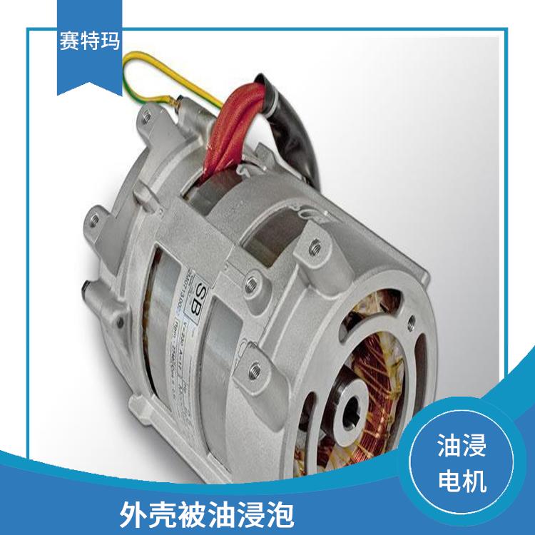 北京油浸电机价格 防止电机过热 保证电机的正常运行