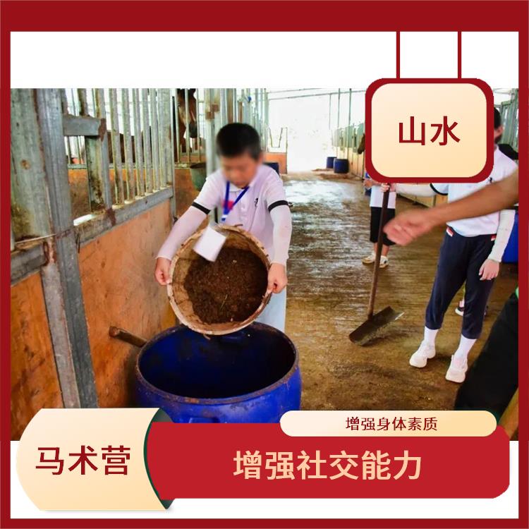 广州国际马术营报名 丰富知识和经验 培养青少年的团队意识